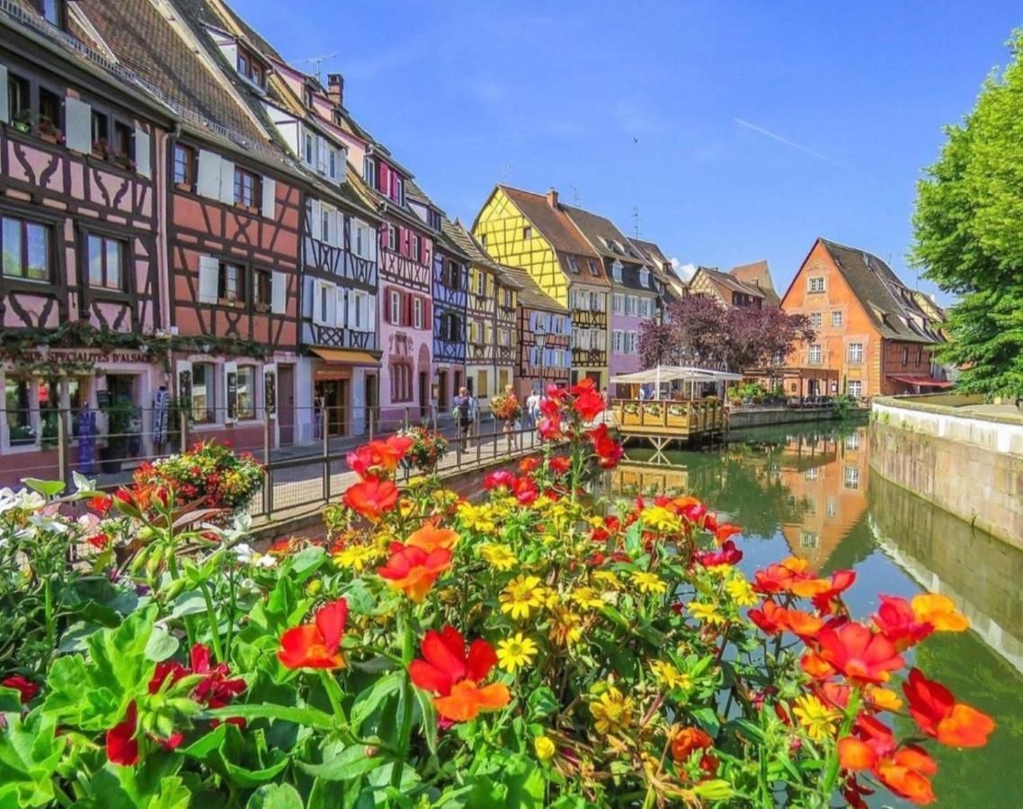 Gite Cote Cour Colmar Zewnętrze zdjęcie